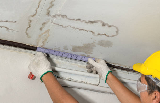 Reliable Water Removal contractor in Rocky Mount, NC by Water Damage Irwin